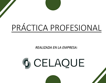 Práctica Profesional - Inversiones Celaque S.A.