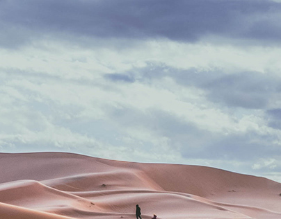 The Sahara desert - the deadliest place?