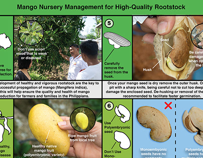 Mango and Grafting Management Training Guides