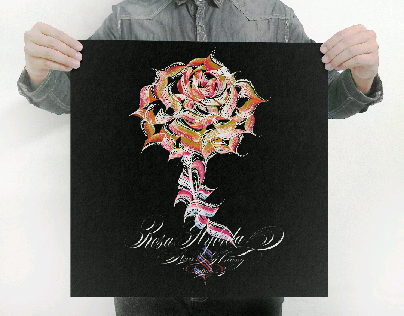 Calligraphy - Rosa Hybrida