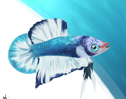 Betta Fish Artwork
