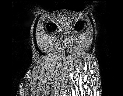 Barn Owl stippled with an isograph pen