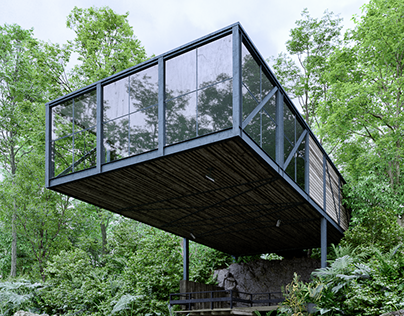 Goulding SummerHouse, Scott Tallon Walker Architects