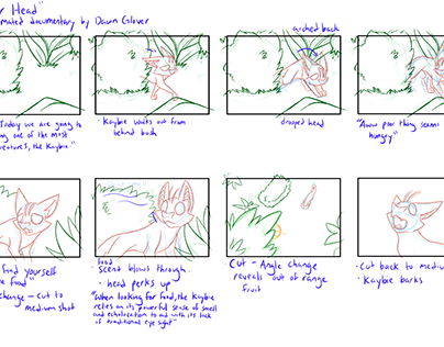 Using Your Head- Storyboard