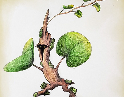 [illus]: Fantastic Plants and where they grow