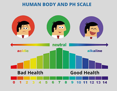 Exploring the Human Body and pH Scale:
