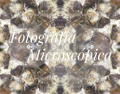 Fotografía Microscópica - Microscopic Photography