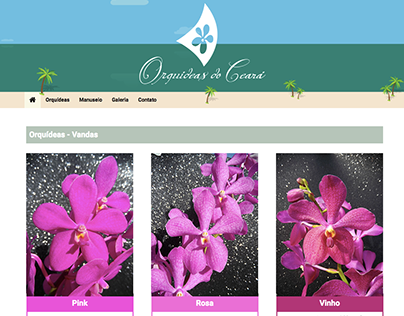 Orquídeas do Ceará