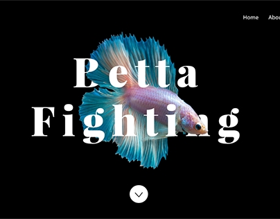 Betta Website - Hero image & Species page