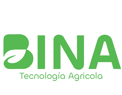 Branding BINA