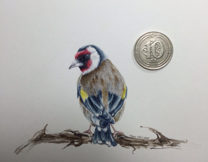 Bird Miniature