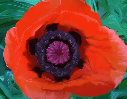 Digital painting of a poppy