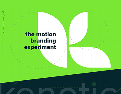 The Motion Branding Experiment