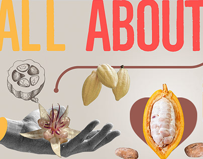 All About Cacao