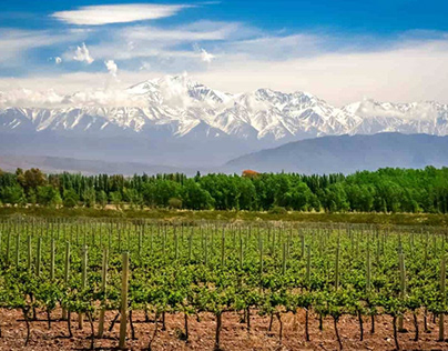 Viaje en moto por la ruta del vino de Mendoza