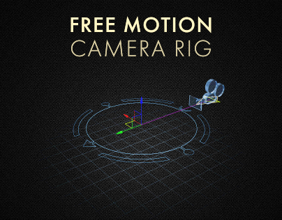 Free Motion Camera Rig