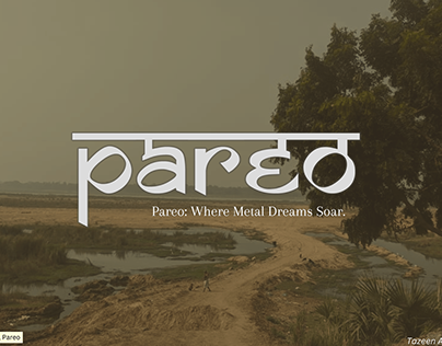 Project thumbnail - Pareo: picture documentary