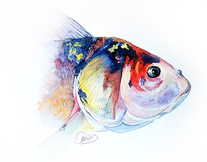 water color fish