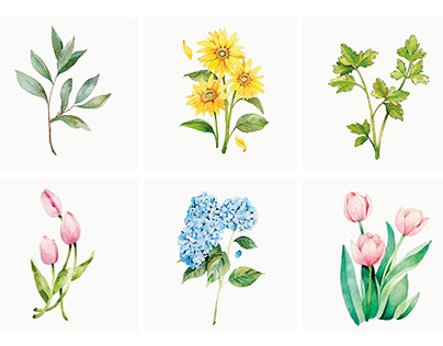Project thumbnail - Botanical Watercolor collection (ongoing)