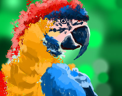Parrot Photoshop Illustration and Color Study