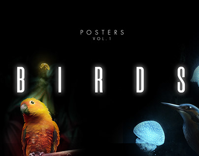 BIRDS - Posters Vol. 1