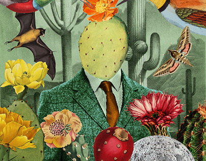collage - Cacti