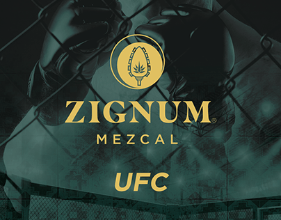 ZIGNUM-UFC