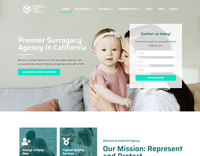 Surrogacy Agency Design