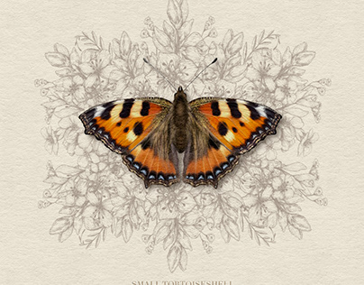 Small Tortoiseshell Butterfly - Digital art 2020©