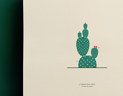 Cactus // Illustration
