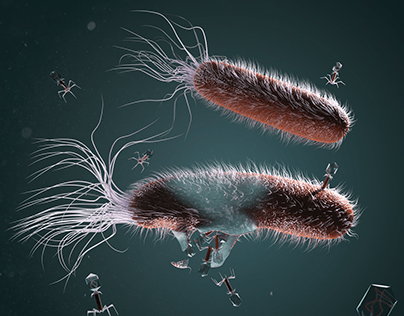 Bacteriophage 3D Illustration