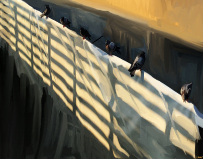 Six Pigeons at Sunset