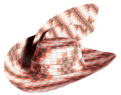 3D HAT MODELLING AND TEXTURING