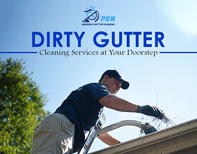 P&N Window and Gutter Cleaner