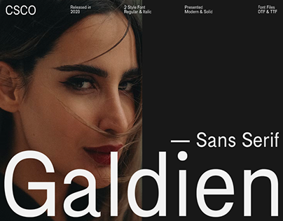 Galdien - Sans Serif Font | Free Download