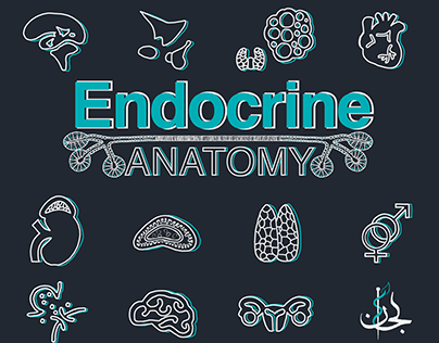 Endocrine