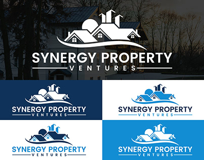 Synergy-Property-Ventures