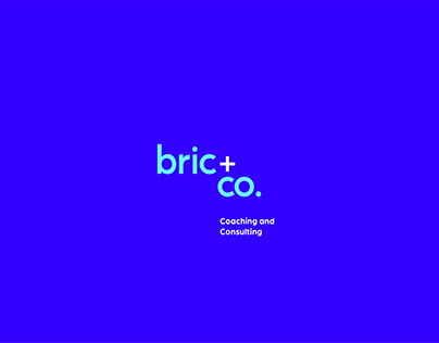 Bric and Co. Brand Identity