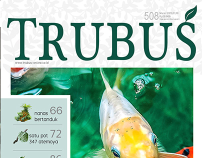 TRUBUS Magazine redesign