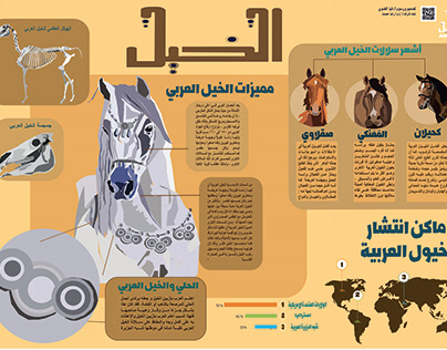 مجلة حائطية عن الخيل العربي