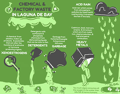 "Chemical & Factory Waste in Laguna De Bay" Infographic