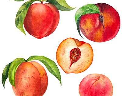 Peaches watercolor set