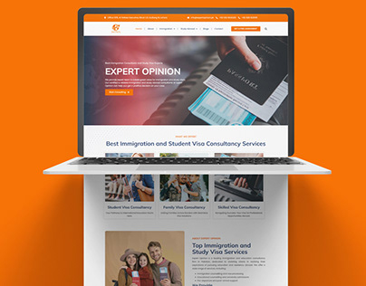 Web Design for Expert Opinion