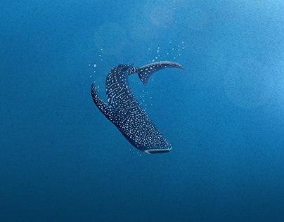 Project thumbnail - Whale Shark