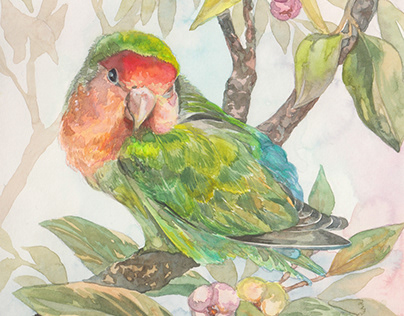 Feathered Friends Watercolor illustration