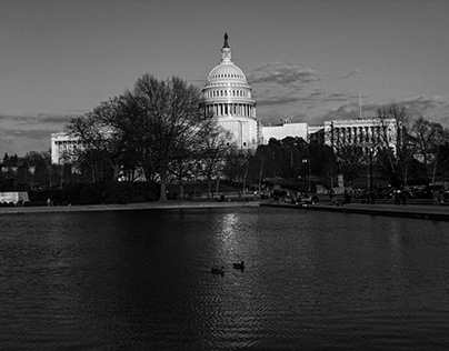 DC in Black and White