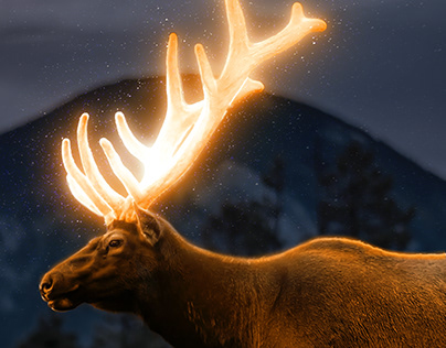 Radiant Antlers - Nocturnal Illumination of the Deer