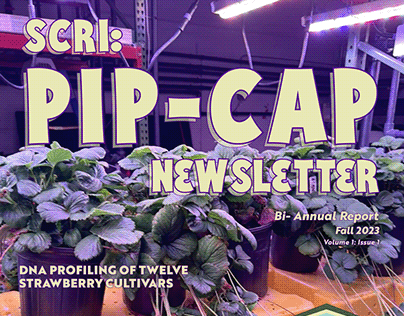 SCRI: PIP-CAP Newsletter (Vol. 1 Iss. 1)