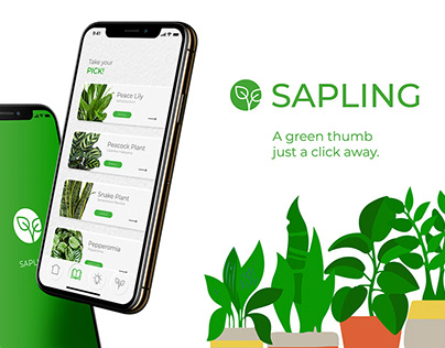 Sapling: App Design