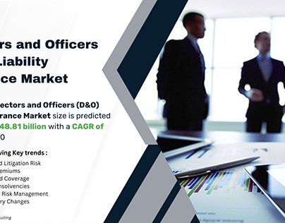 Director and Officer Liabilities Insurance Market